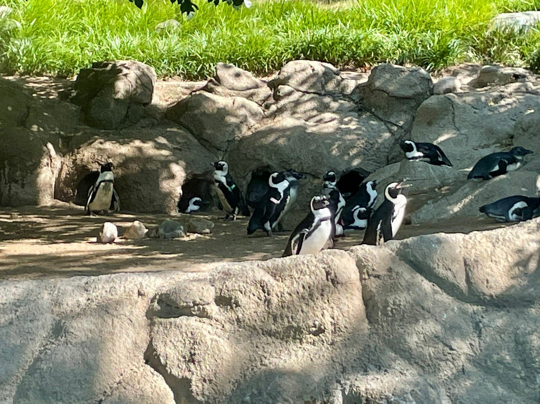 Fort Wayne Zoo-韦恩堡必去景点