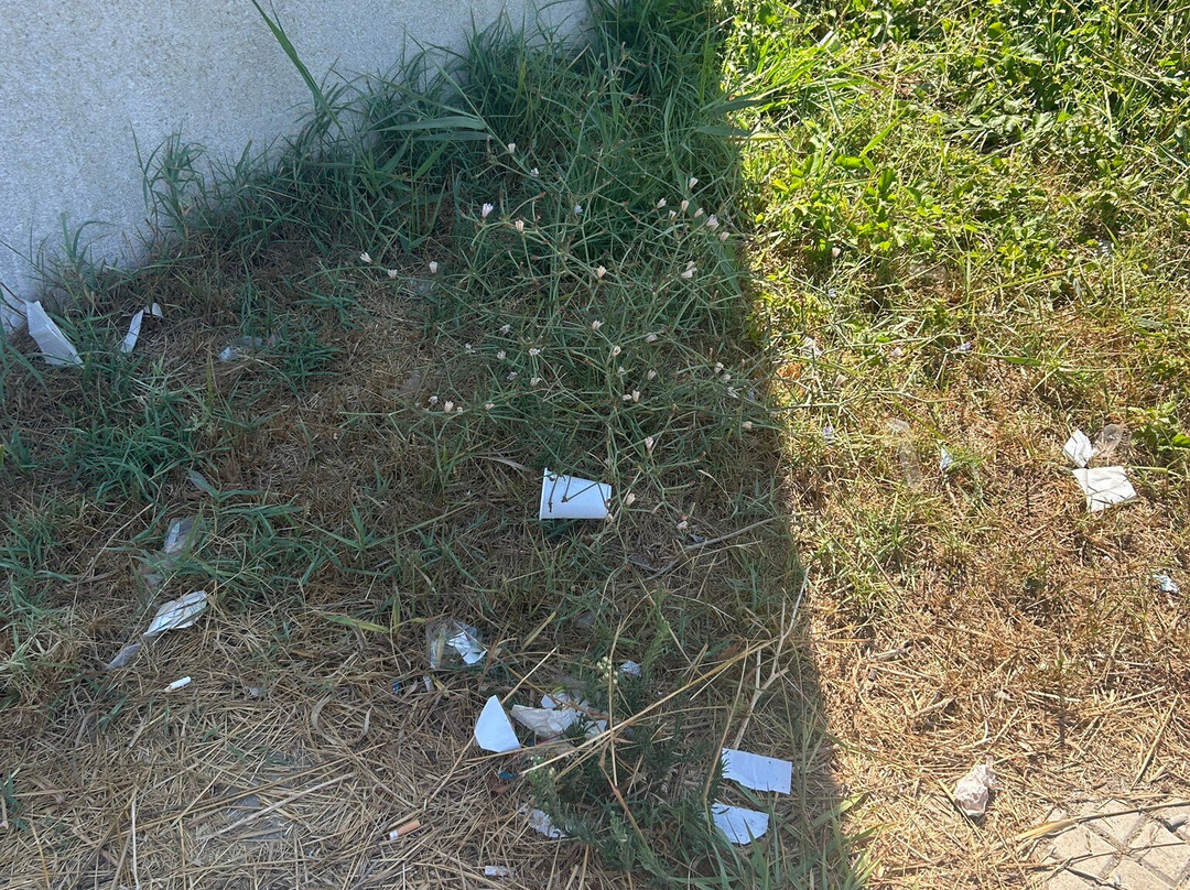 Torre - Torre Chianca-Torre Chianca必去景点