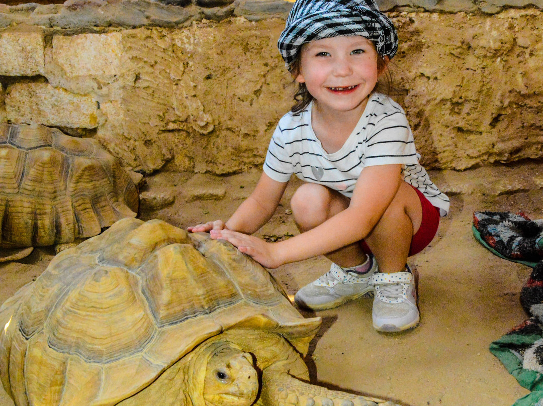 Golden Map-赫尔格达必去景点