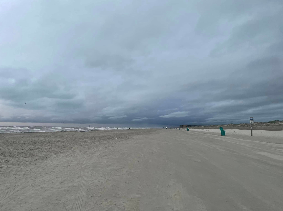 Michael J. Ellis Beach & Seawall-科珀斯克里斯蒂市必去景点