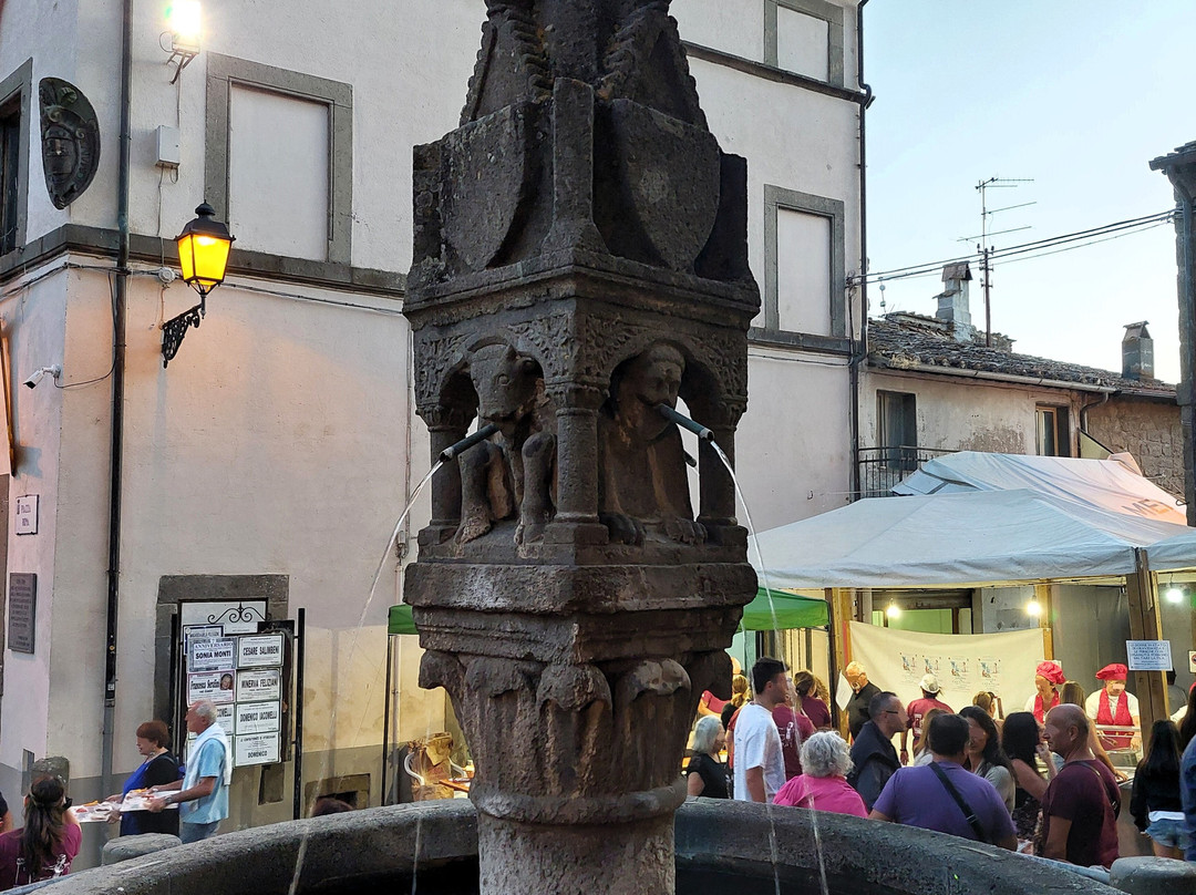 Fontana a Fuso-Vitorchiano必去景点