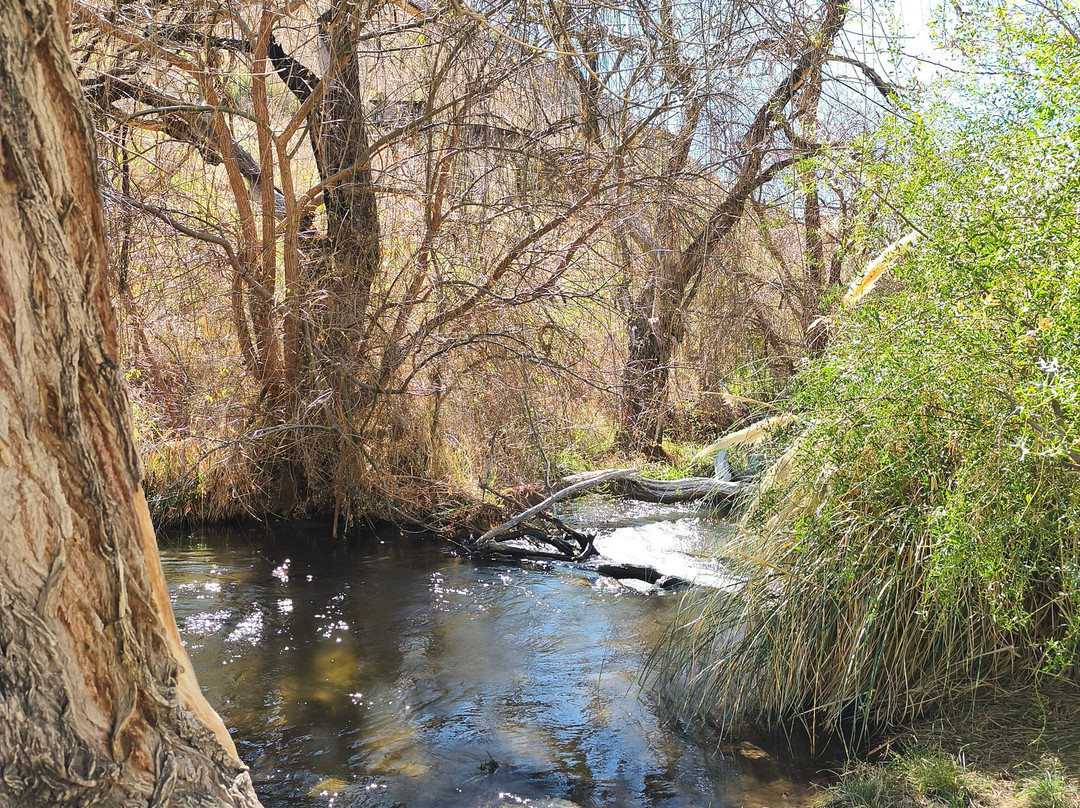 Pueblo Artesanal de Horcon-Pisco Elqui必去景点