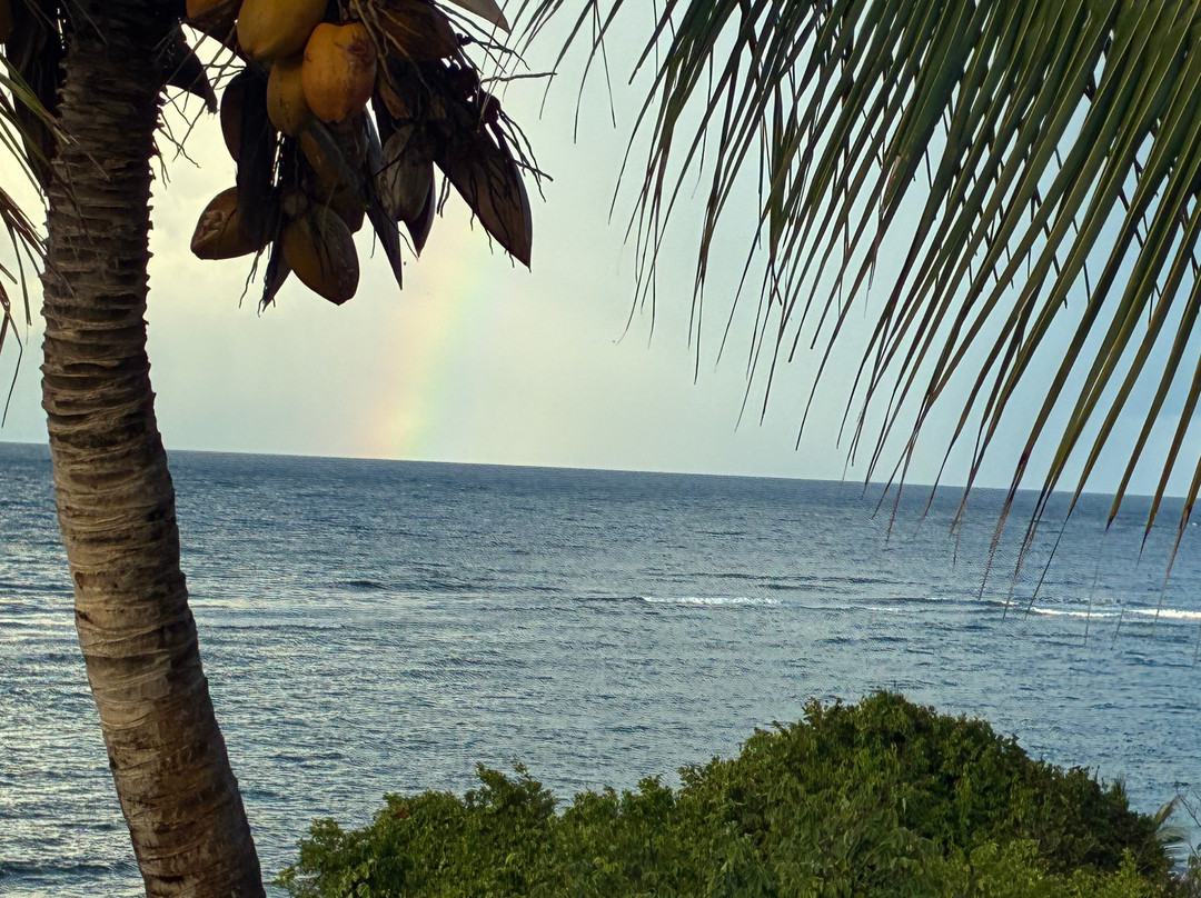 Villa Margarita主图