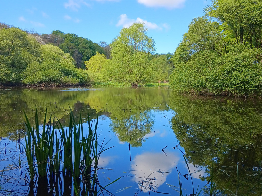 La Passerelle Observatoire Du Lac Du Jaunay
