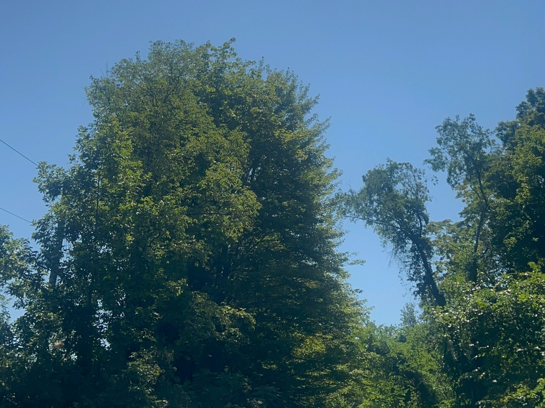 Rail Explorers-Phoenicia必去景点