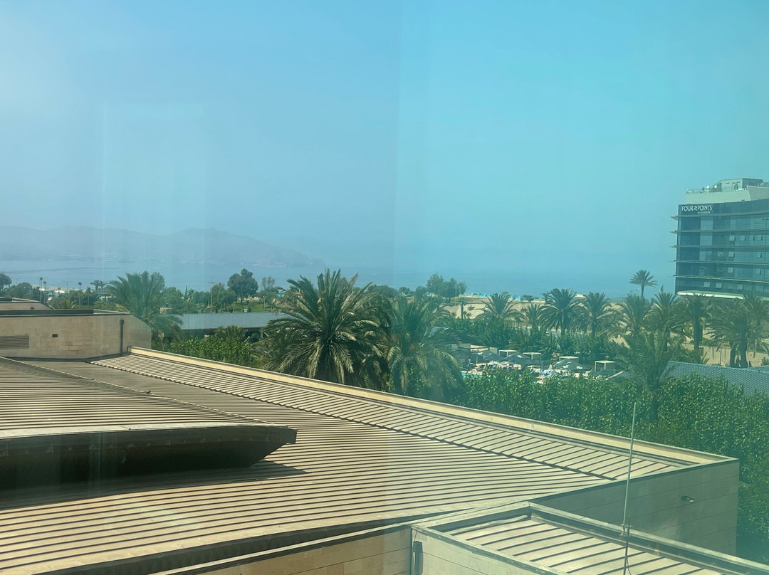 奥兰喜来登酒店主图