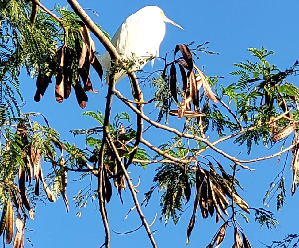 Ramiro Ruediger Park-Blumenau必去景点