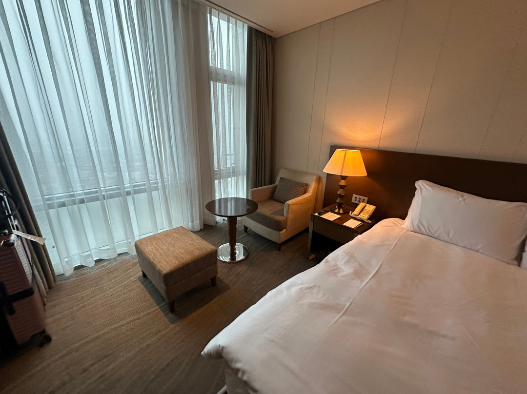 乐天城市济州机场酒店主图