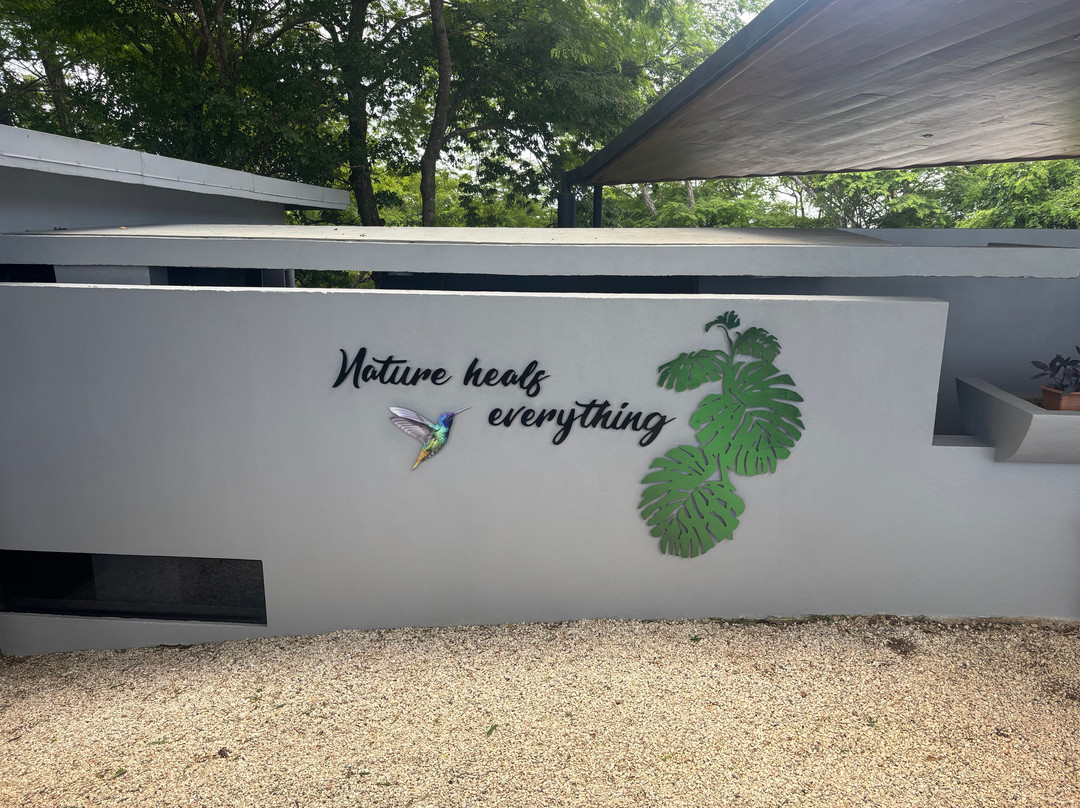 Pacific Kalokairi主图