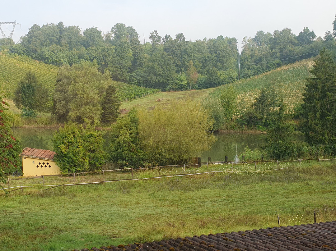 Valditerra Vini - B&B La Rombetta主图