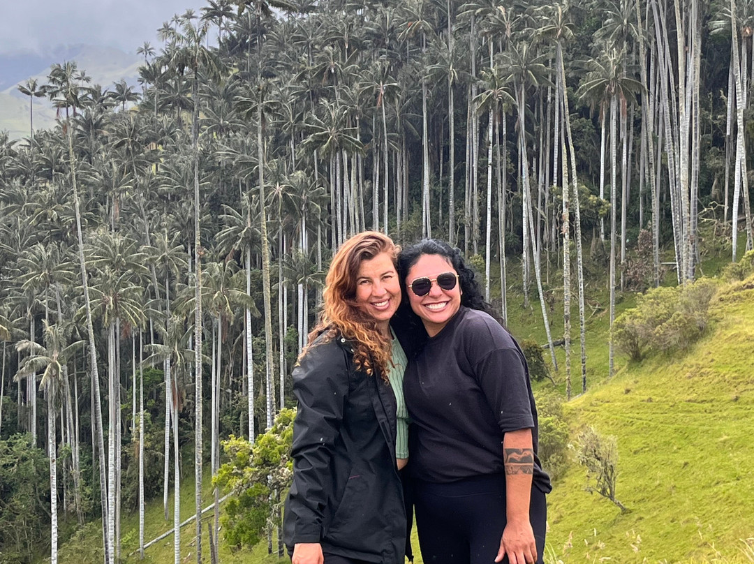 5to Elemento Tours-Boquia必去景点