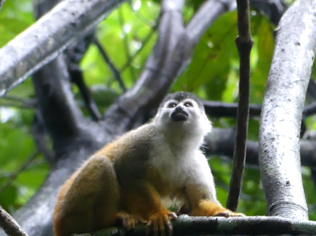 Drake Divers Costa Rica-德雷克湾必去景点