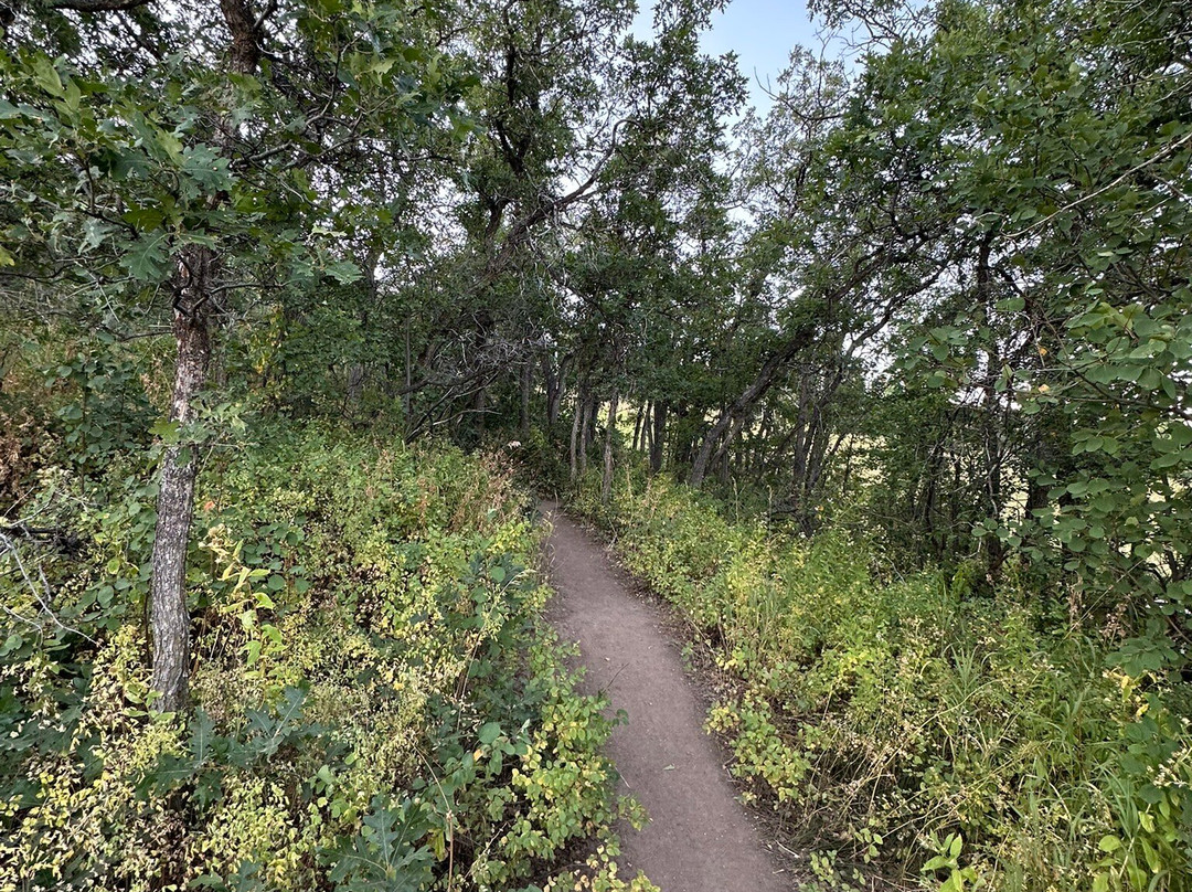 Thunderhead Hiking Trail-斯廷博特斯普林斯必去景点