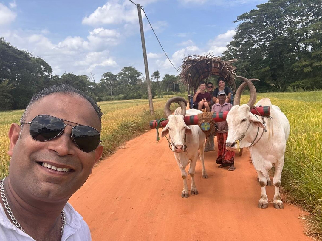 Ceylon Tropical Trails-卡卢特勒必去景点