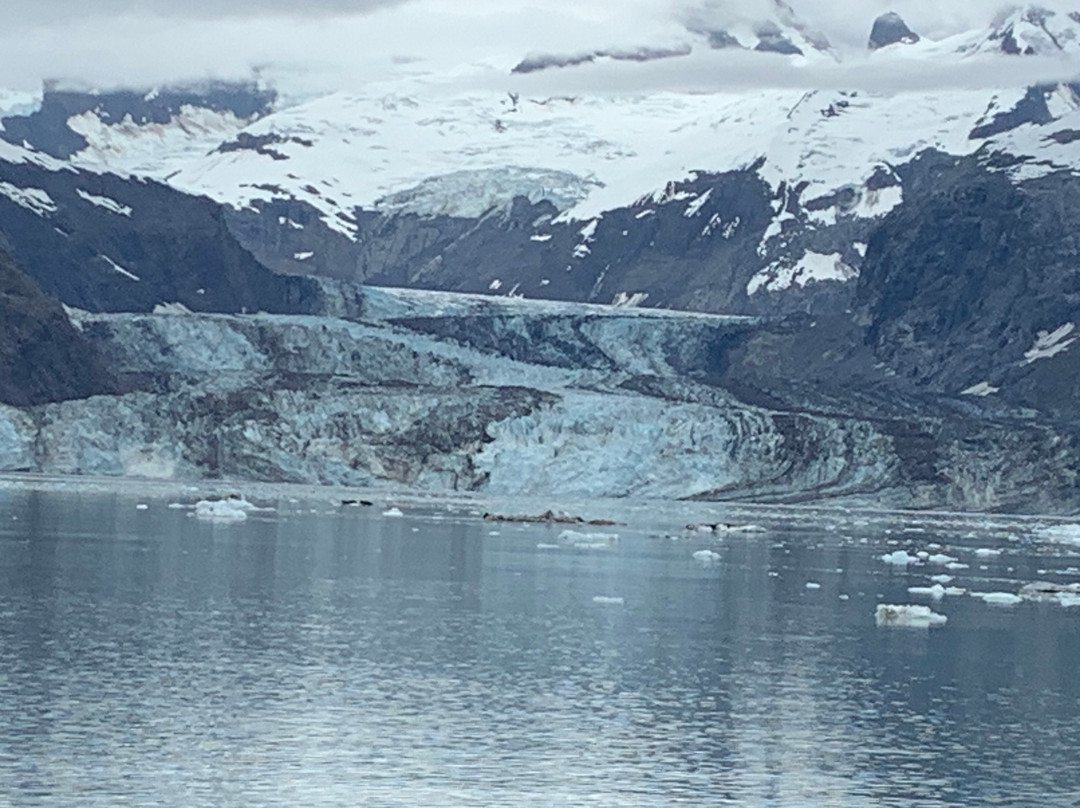 Viking Travel, Inc.-Petersburg必去景点