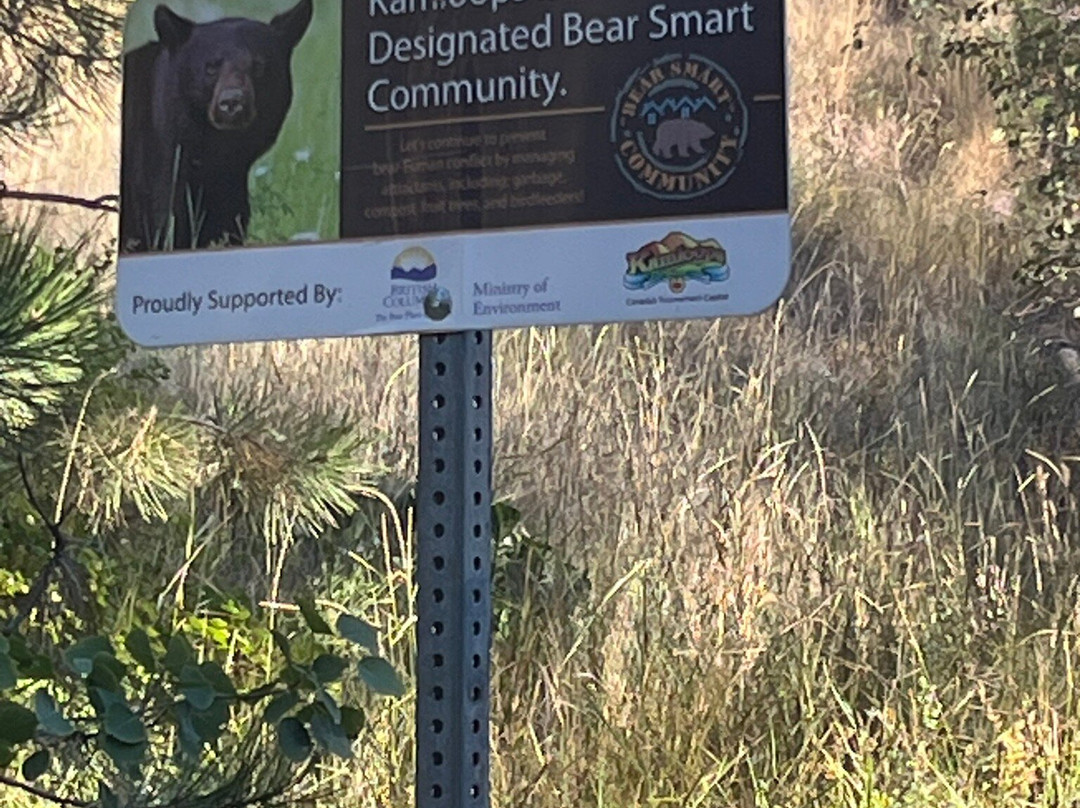 Peterson Creek Park-坎卢普斯必去景点