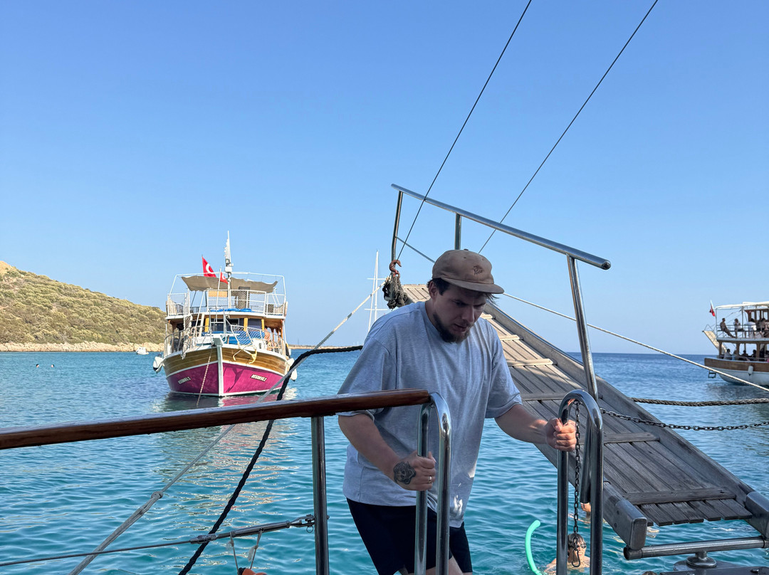 Bayside and Tora Boat Tours-博德鲁姆必去景点