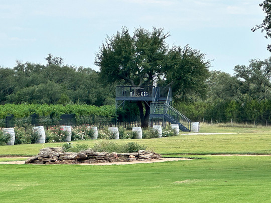 Cellar Rat Wine Tours-弗雷德里克斯堡必去景点