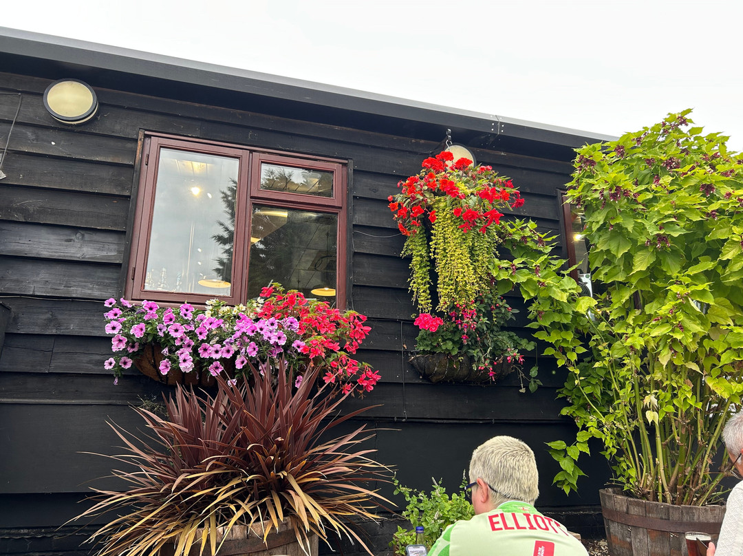 Rebellion Beer Co. Ltd.-Marlow必去景点