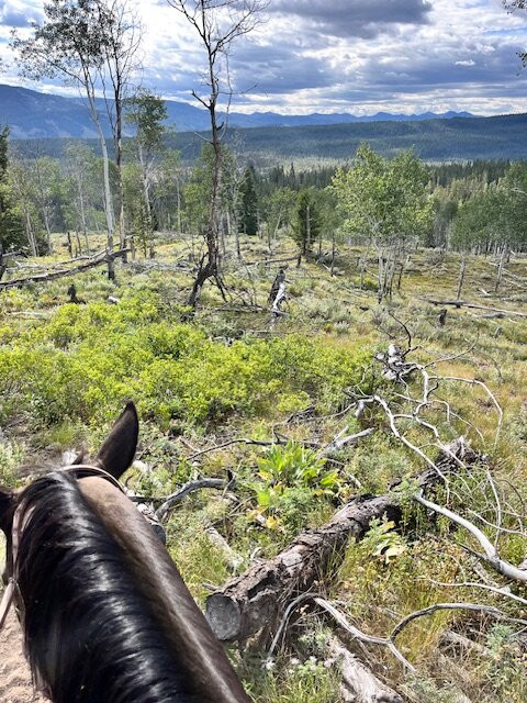 Redfish Lake Corrals- Mystic Saddle Ranch-Stanley必去景点