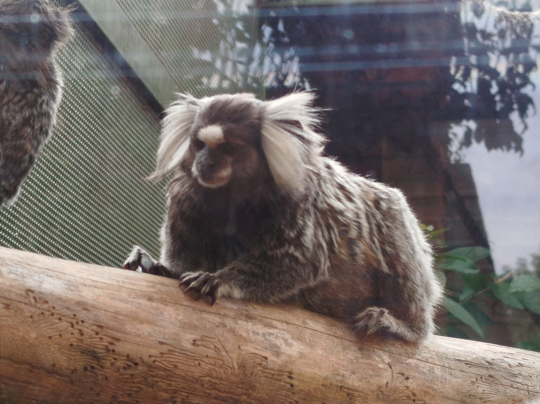 Zoo Parque Loro Puebla-普埃布拉必去景点