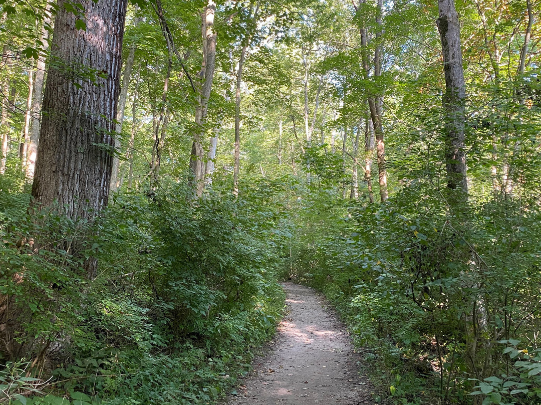 John Bryan State Park-Yellow Springs必去景点