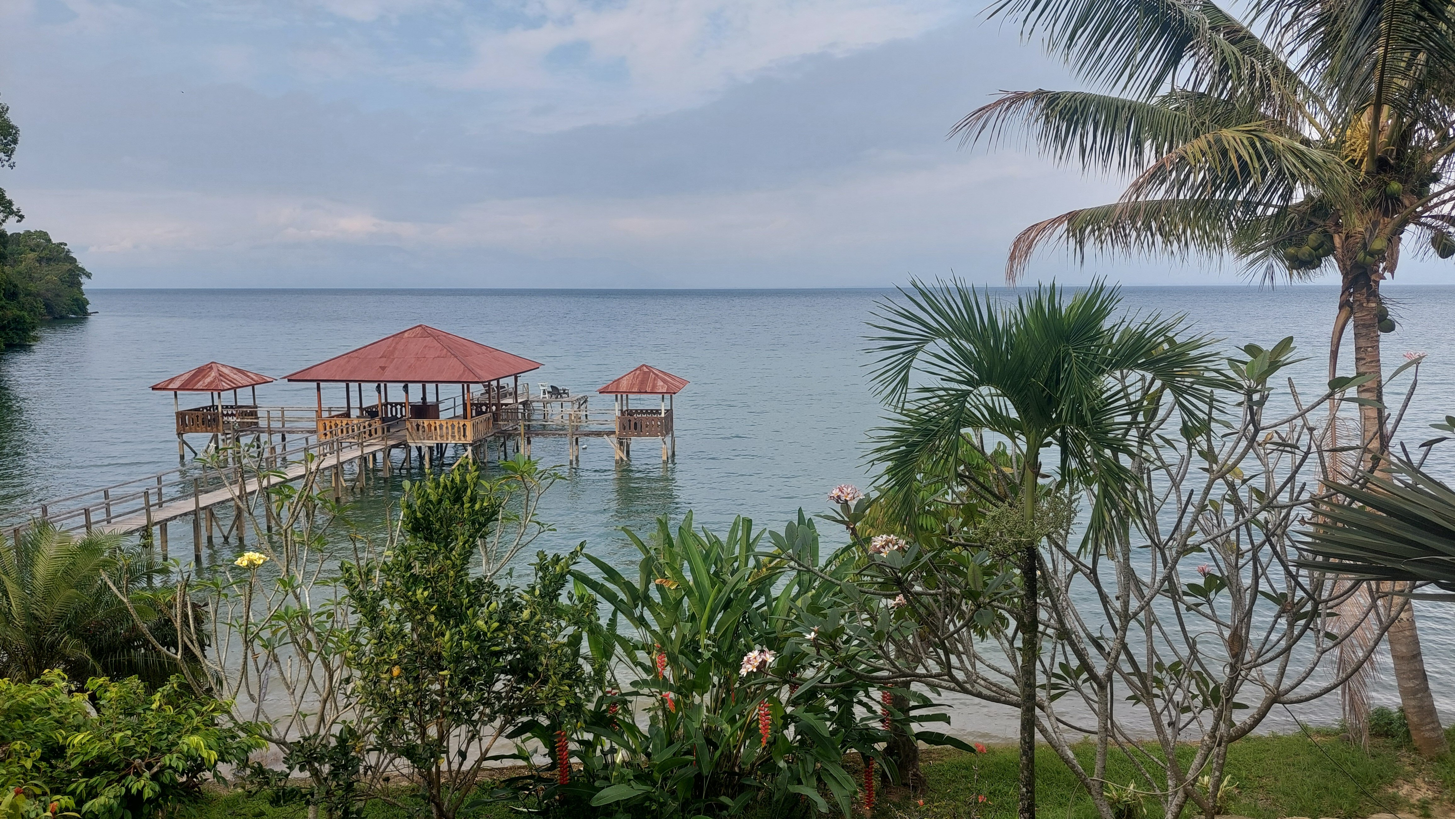 Dolidi Ndano Towale-官方