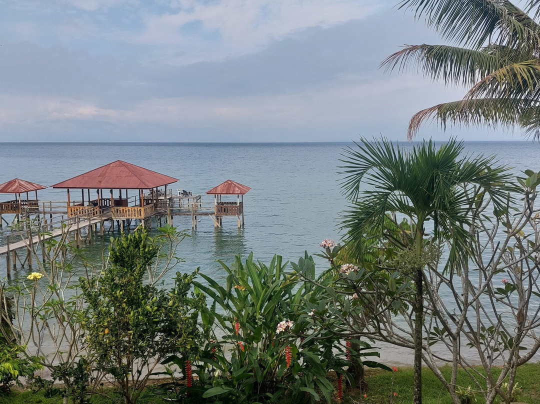 Dolidi Ndano Towale主图