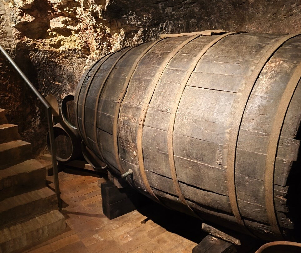 Bodegas A. Velasco e Hijos-萨莫拉必去景点