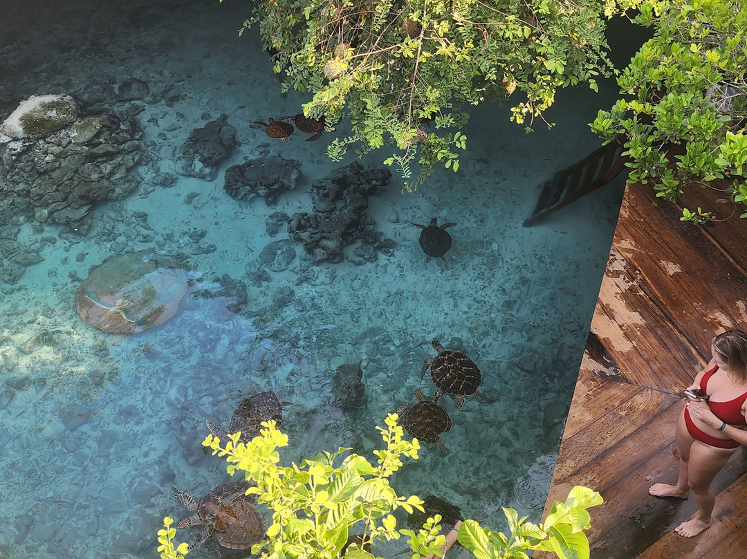 Discover Zanzibar with Mr Brown-桑给巴尔岛必去景点