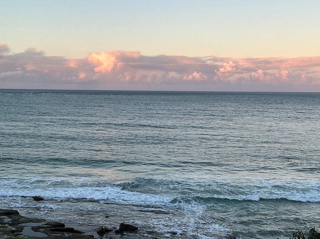 海豚海滨旅馆