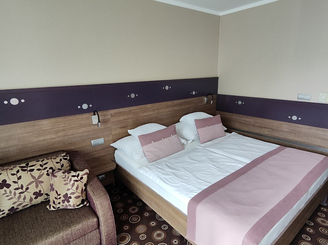 Wellness Hotel Katalin主图