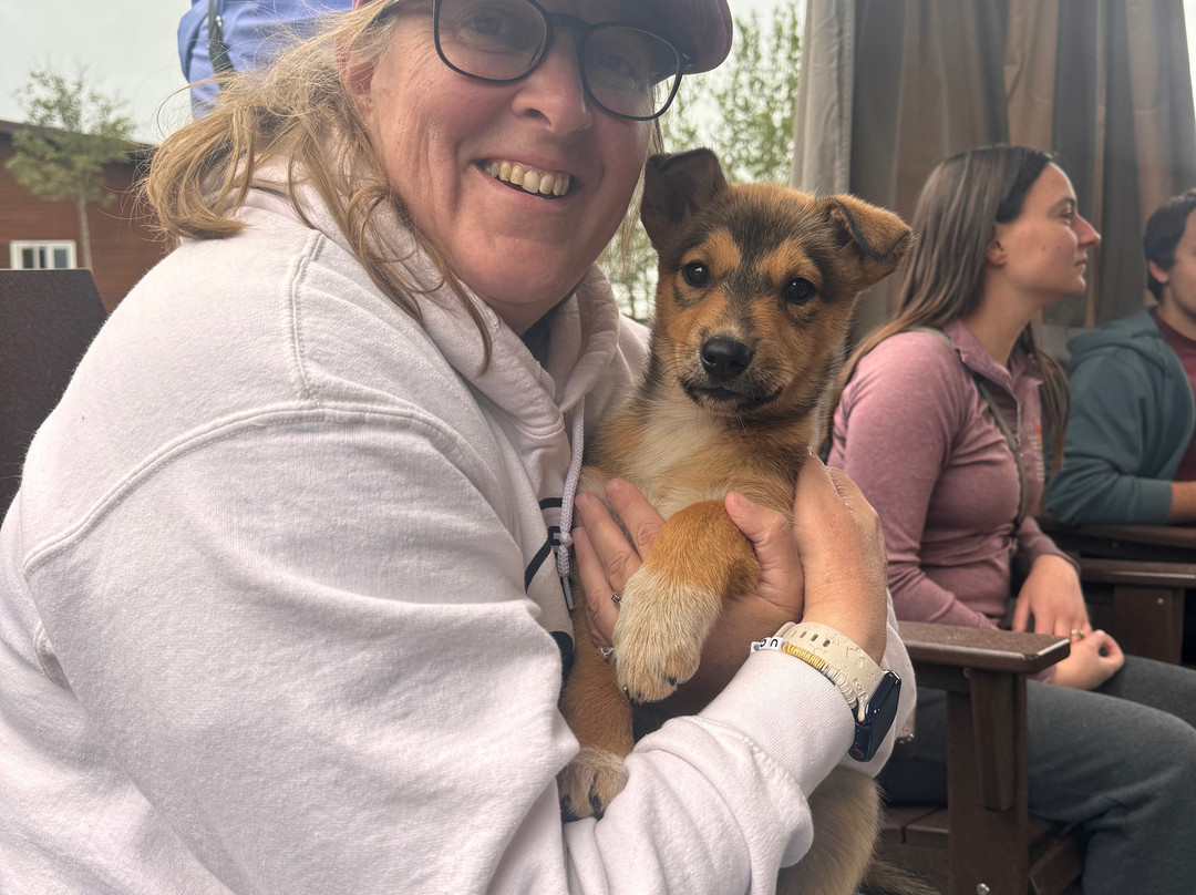 Dog Gone It-坎特维尔必去景点