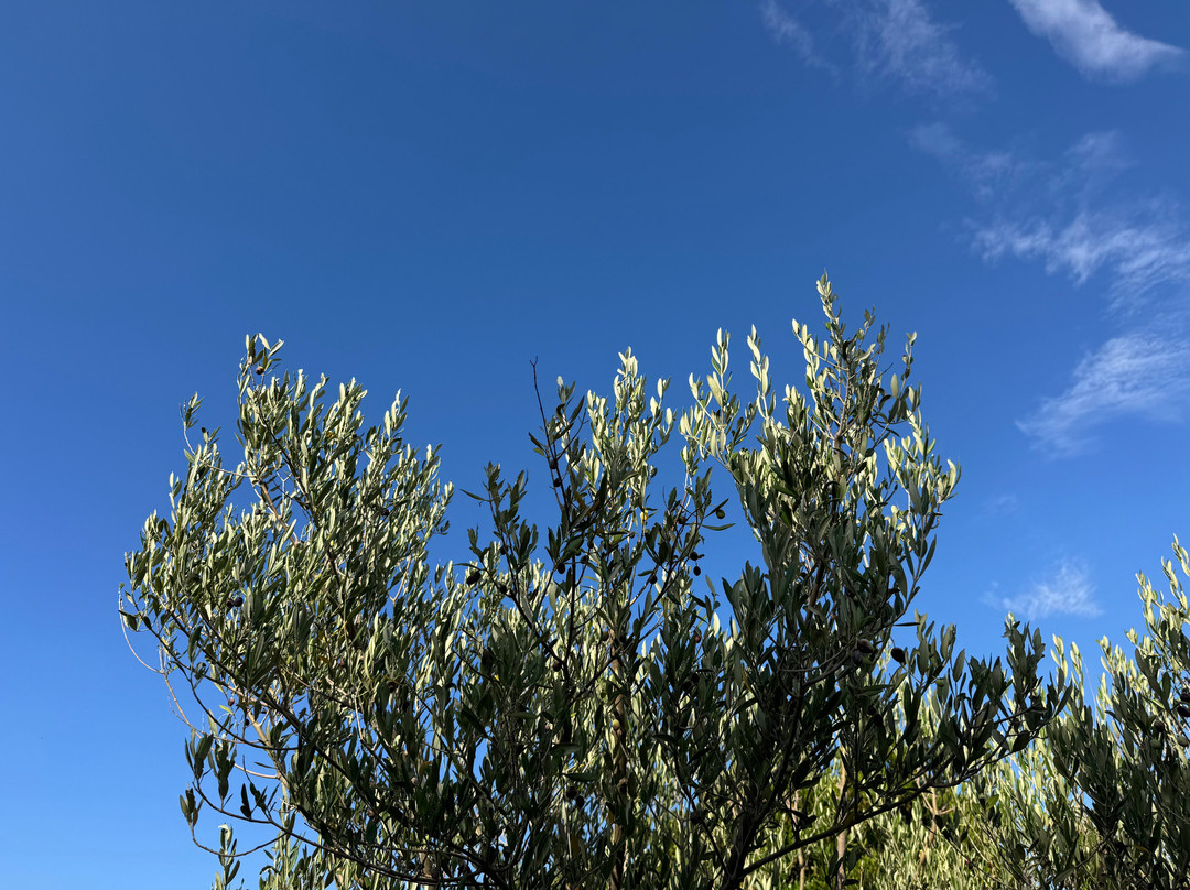 Parc de Saleccia-Ile Rousse必去景点