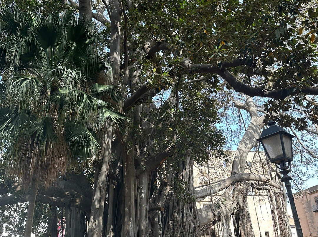 Giardino Garibaldi-巴勒莫必去景点