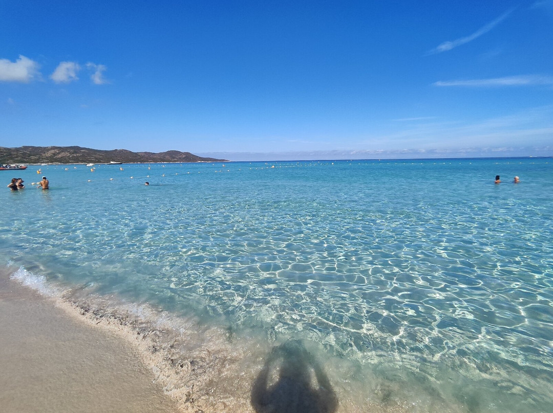 Plage de Saleccia-Santo-Pietro-di-Tenda必去景点