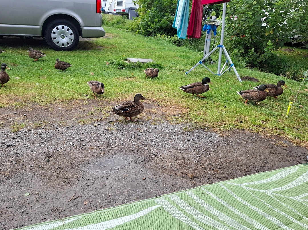 Campingplatz Finck Sahlenburg