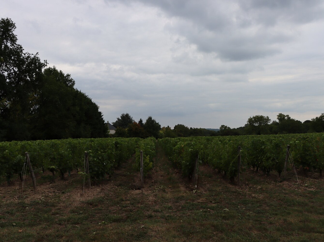Clos de la Richardière-昂布瓦斯必去景点