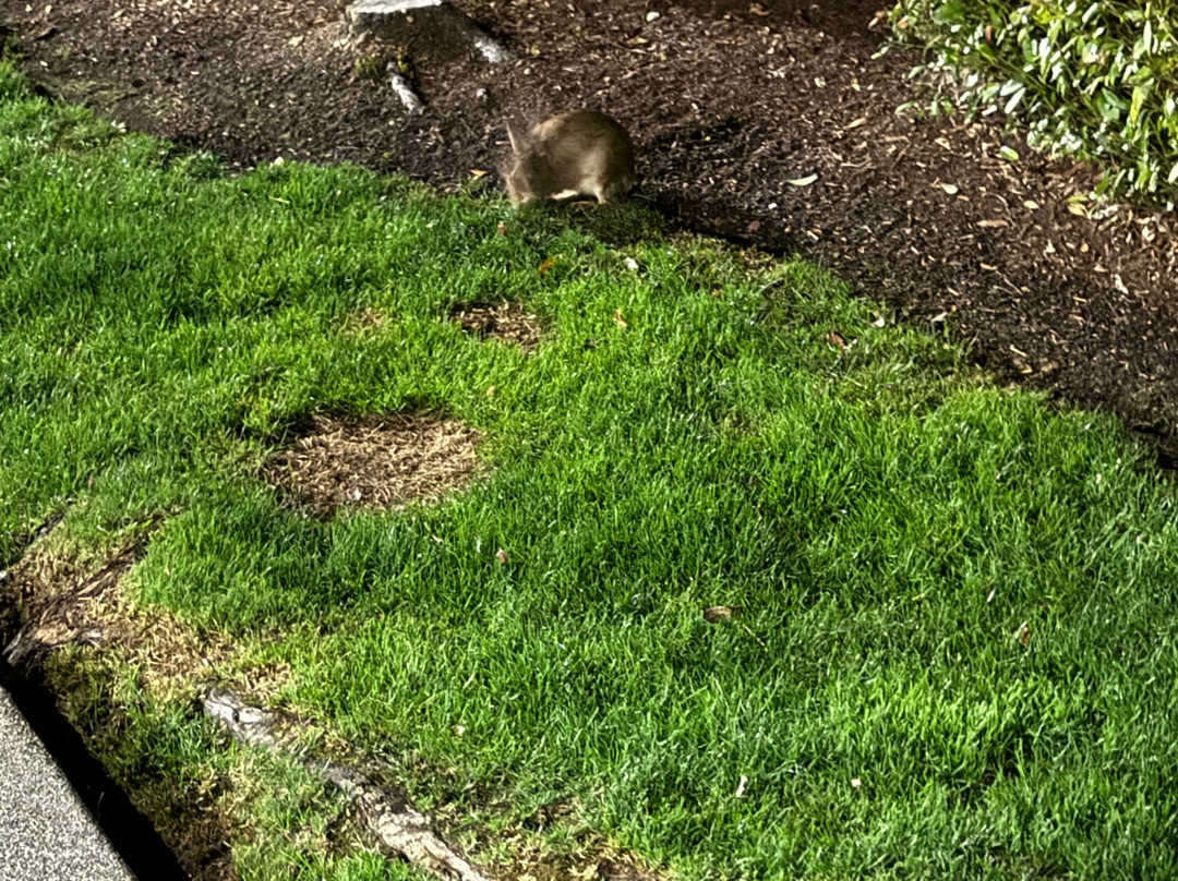 Extended Stay America - Seattle - Bothell - West主图