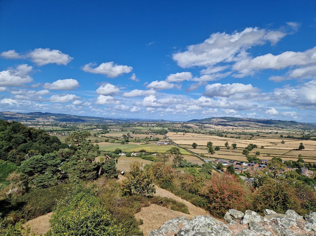Montgomery Castle-蒙哥马利必去景点