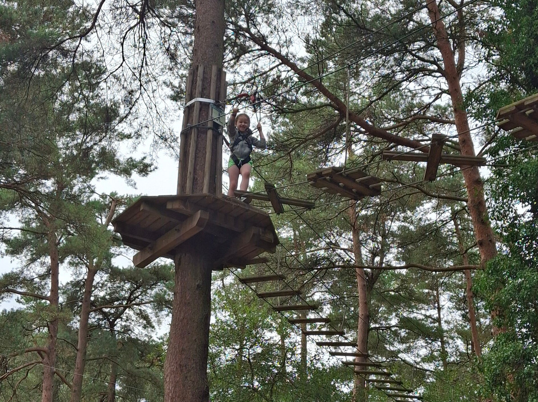 Go Ape Haldon Forest Park-埃克塞特必去景点
