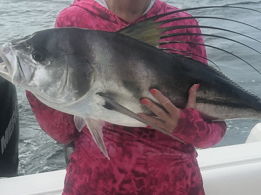 Punta Mita Experience-蓬塔米塔必去景点