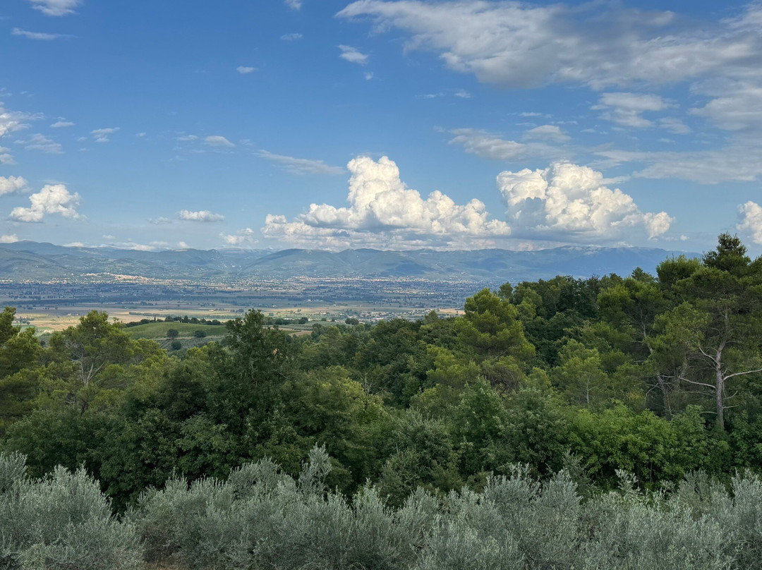 Agriturismo La Casetta di Chiara主图