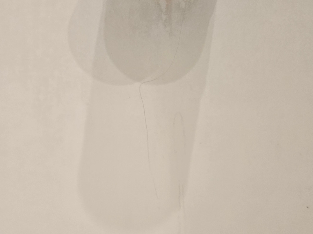 皇家花园酒店主图