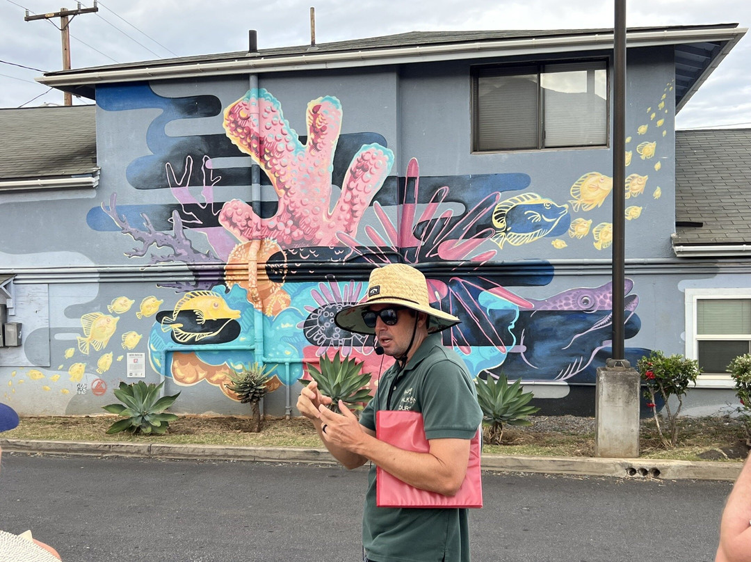 Maui Walking Tours-基黑必去景点