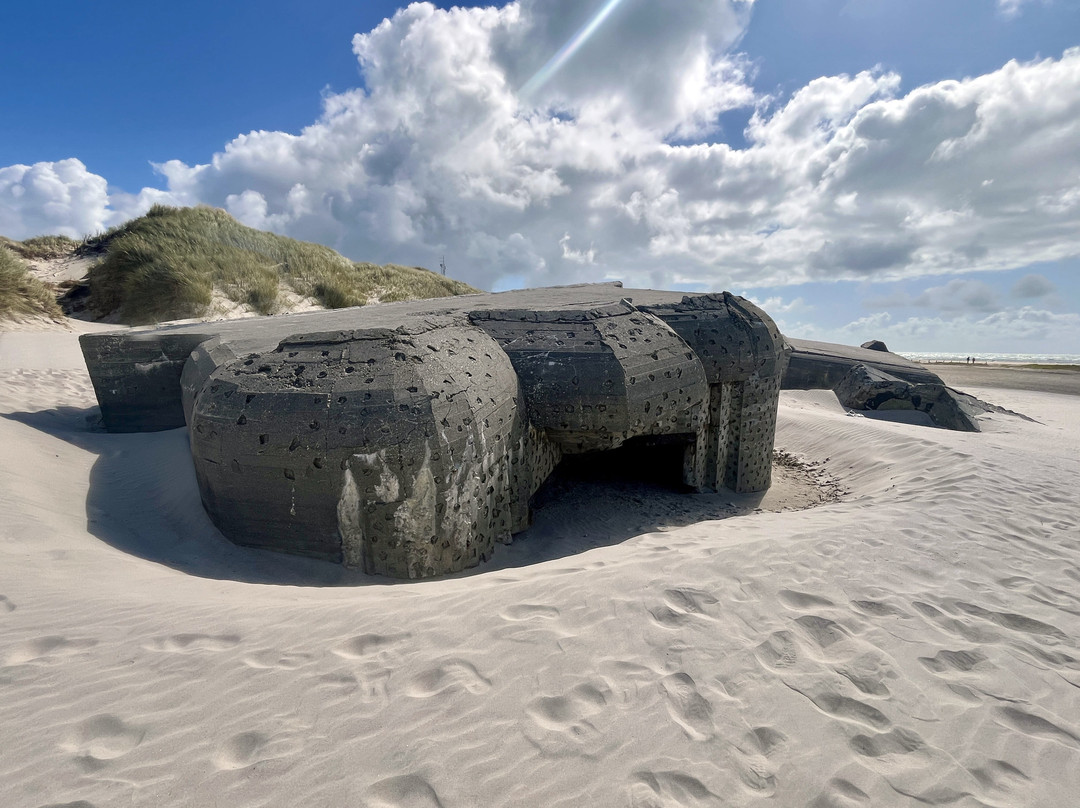 Bill Woodrows Fredsskulptur-Blaavand必去景点