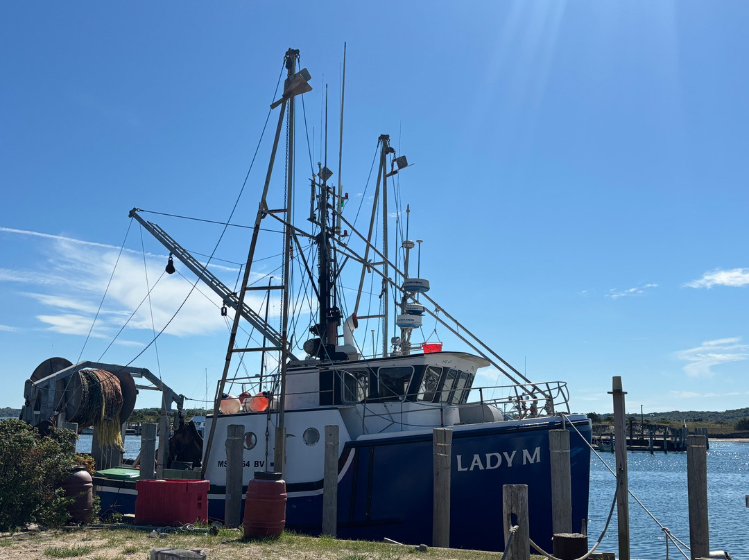 Seastreak Ferry- New Bedford-新贝德福德必去景点