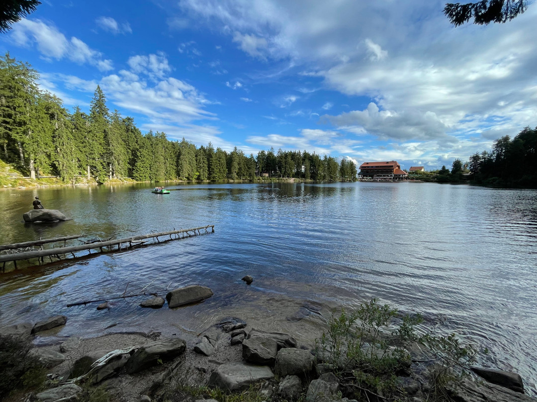 Kurparkhotel Faisst主图