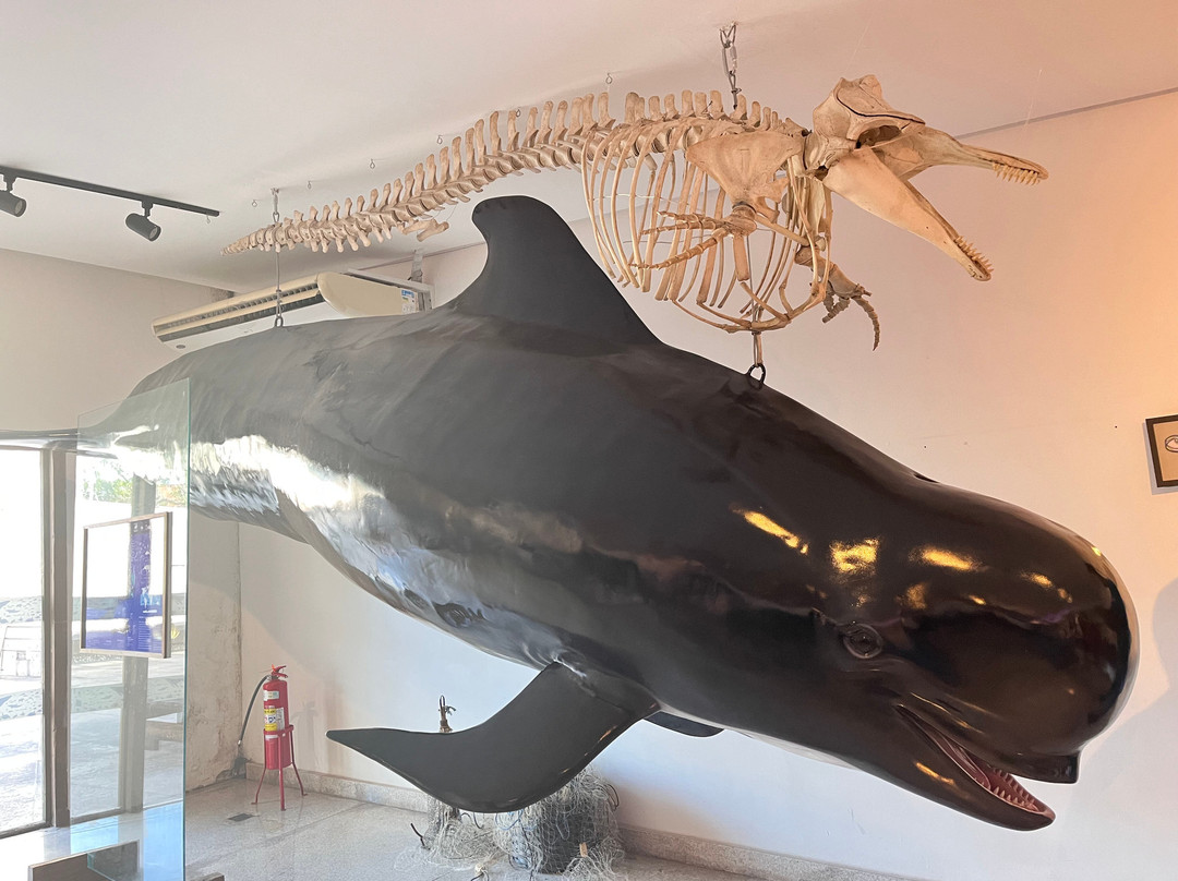 Espaço Baleia Jubarte Vitória-维多利亚必去景点