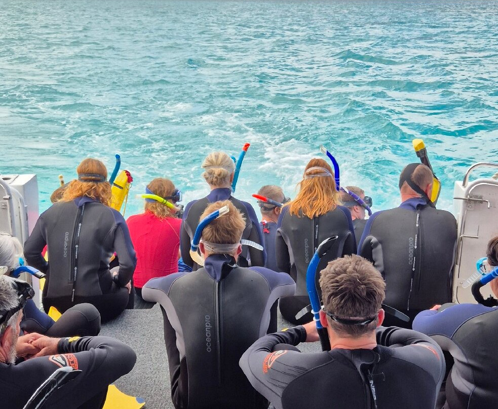 Ningaloo Whaleshark n Dive-埃克斯茅斯必去景点